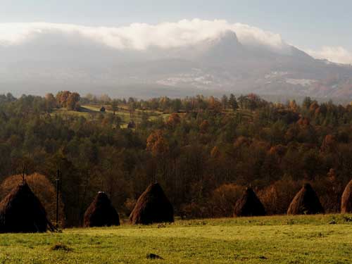 Foto vedere Creasta Cocosului dinspre Harnicesti (c) Petru Goja